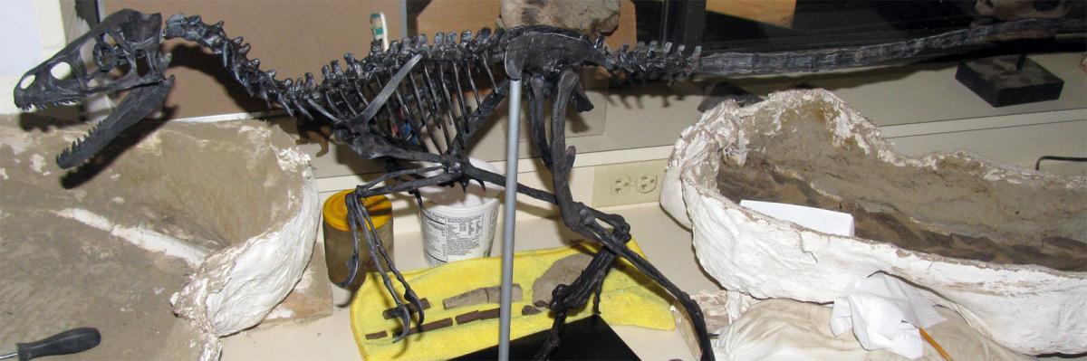 Predator Dinosaurs - Velociraptor, Pterodactyl